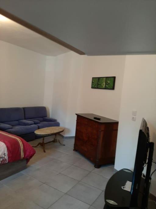 Confortable En Hyper Centre Parking Gratuit Dans La Rue Acces Avec Boite A Clee Castres (Tarn) Exterior foto