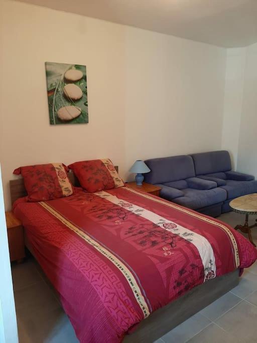 Confortable En Hyper Centre Parking Gratuit Dans La Rue Acces Avec Boite A Clee Castres (Tarn) Exterior foto