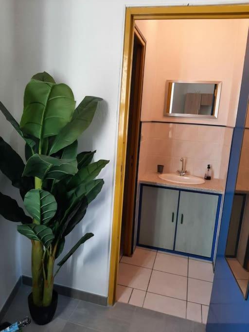Confortable En Hyper Centre Parking Gratuit Dans La Rue Acces Avec Boite A Clee Castres (Tarn) Exterior foto